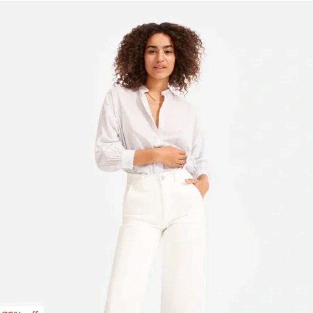 Everlane Wide Leg Crop Pant
